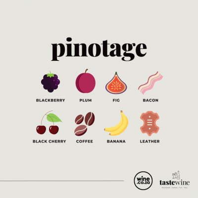 Taste of Pinotage Mixed Case 2025