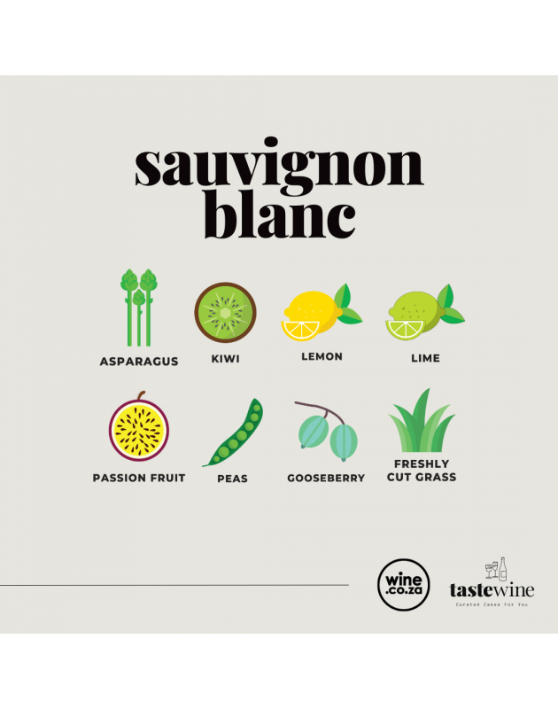 Taste of Sauvignon Blanc Mixed Case 2025